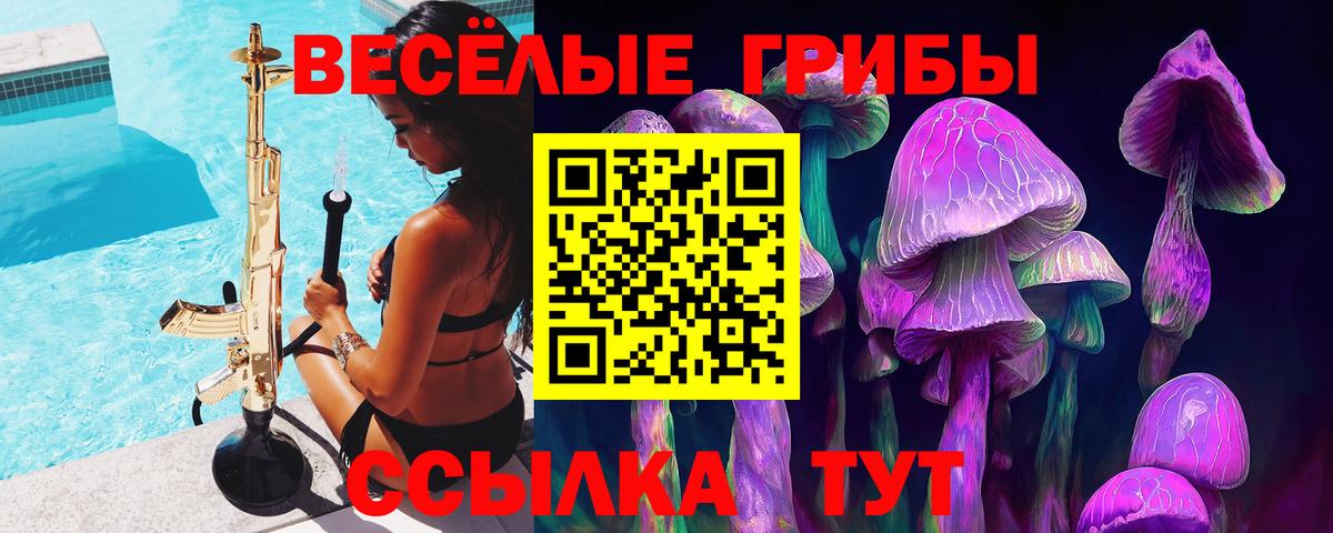 Псилоцибиновые грибы MAGIC MUSHROOMS  Вход с VPN  Жуковский 