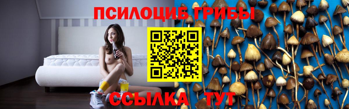 Псилоцибиновые грибы MAGIC MUSHROOMS Жуковский
