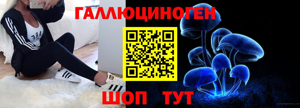 Кокаин  Канабис  LSD-25  Жуковский  ГАШИШ  Мефедрон кристаллы  НБОМе  Вход с VPN 